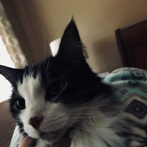 Meet your Posher, Grace